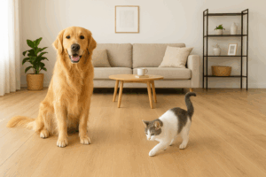 Nhà nuôi chó mèo nên lát sàn gì để chống xước và mùi hôi