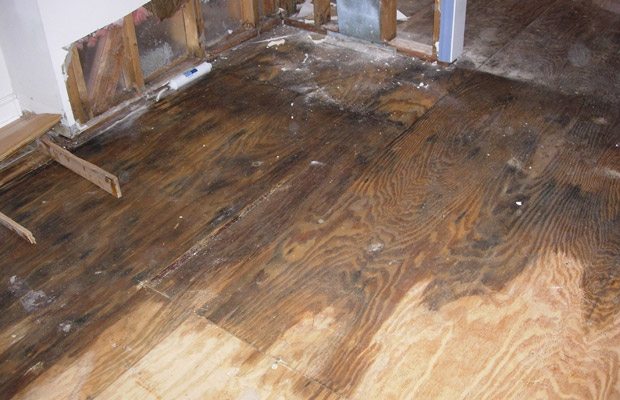 Nhược điểm của sàn gỗ công nghiệp khi ngấm nước