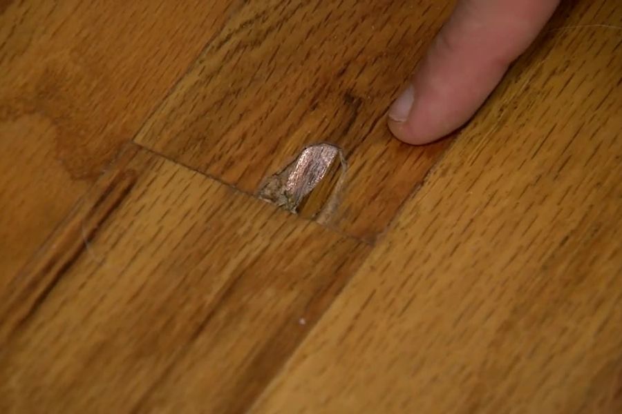 Hướng dẫn sử lý mối mọt đúng cách