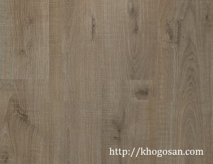 Sàn gỗ Pergo 01809 8mm