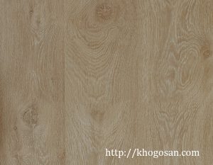 Sàn gỗ Pergo 01826 Domestic Extra 8mm