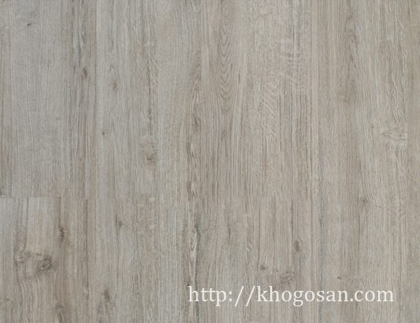 61-san-go-rainforest-8mm-class-33-e1-ac5-rf313