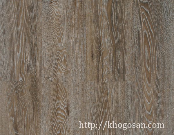 62-san-go-rainforest-8mm-class-33-e1-ac5-rf315