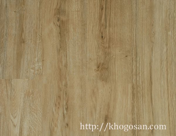 63-san-go-rainforest-8mm-class-33-e1-ac5-rf316