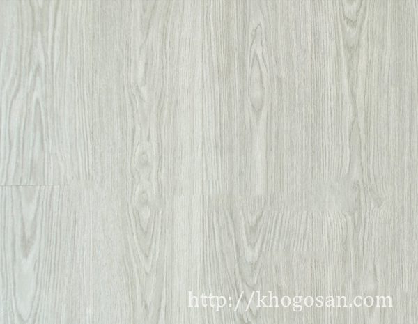 65-san-go-rainforest-12mm-class-33-e1-ac6-rf511