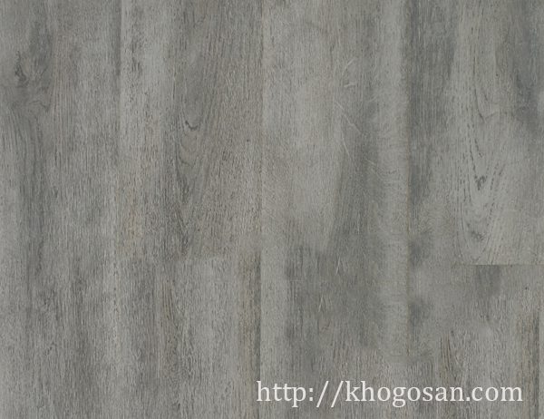 66-san-go-rainforest-12mm-class-33-e1-ac6-rf512