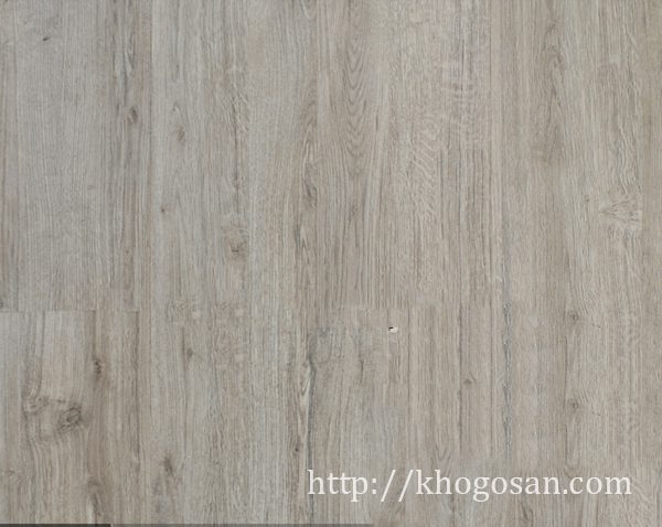 67-san-go-rainforest-12mm-class-33-e1-ac6-rf513