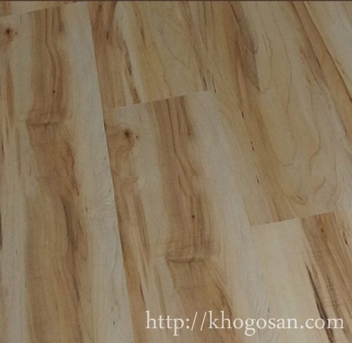 san-go-classen-32055-500x539 copy san go