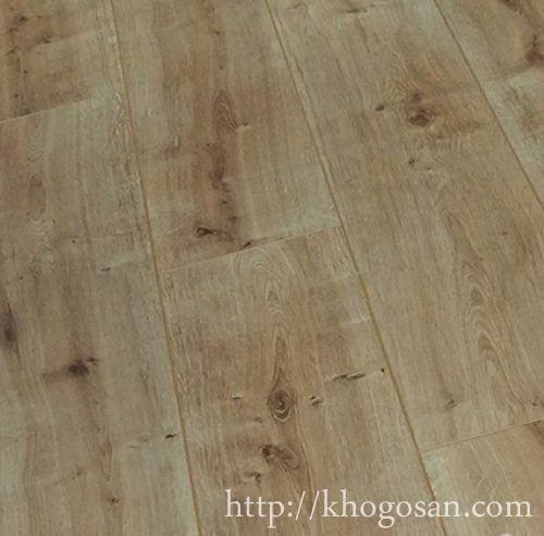 san-go-classen-32064-500x539 copy san go