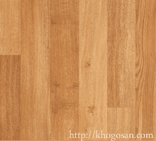 san-go-janmi-o24-500x539 san go jammi