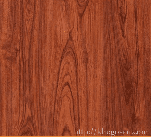 san-go-janmi-t11-12mm-500x539 san go jammi