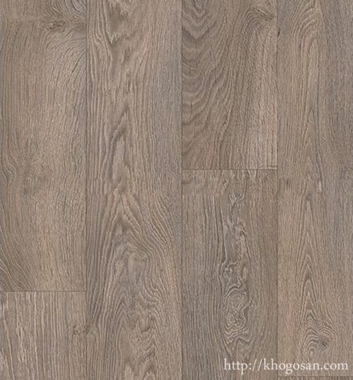 san-go-quickstep-clm1405-500x539 san go