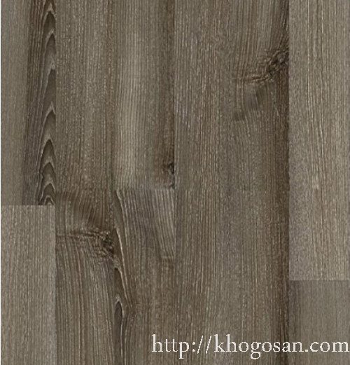 san-go-robina-as22-500x539 san go