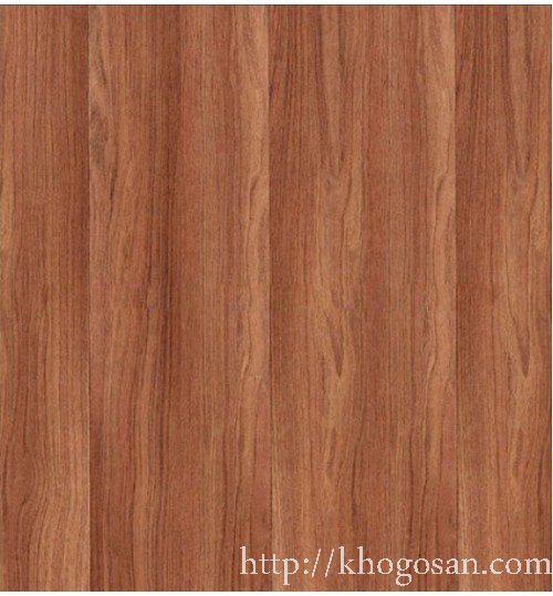 san-go-robina-ce21-500x539 san go