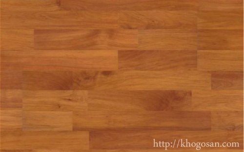 san-go-wineo-33-mv2-500x539 (1) san go