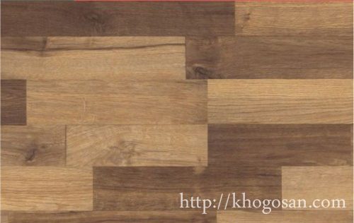 san-go-wineo-40-m-500x539 san go